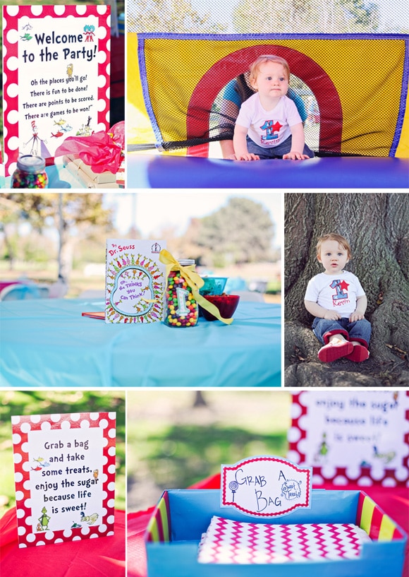 A Special Dr. Seuss First Birthday - Pretty My Party