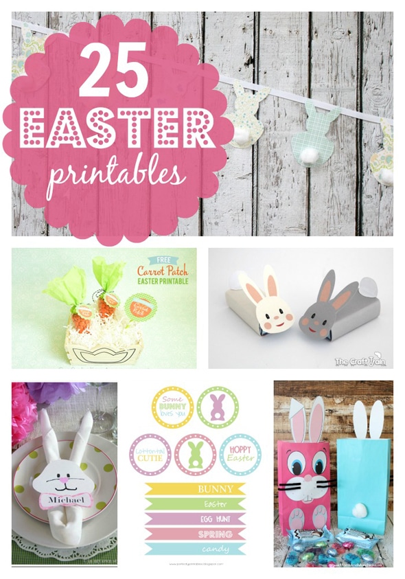 A Peter Rabbit Spring Party with Free Printables - Party Ideas